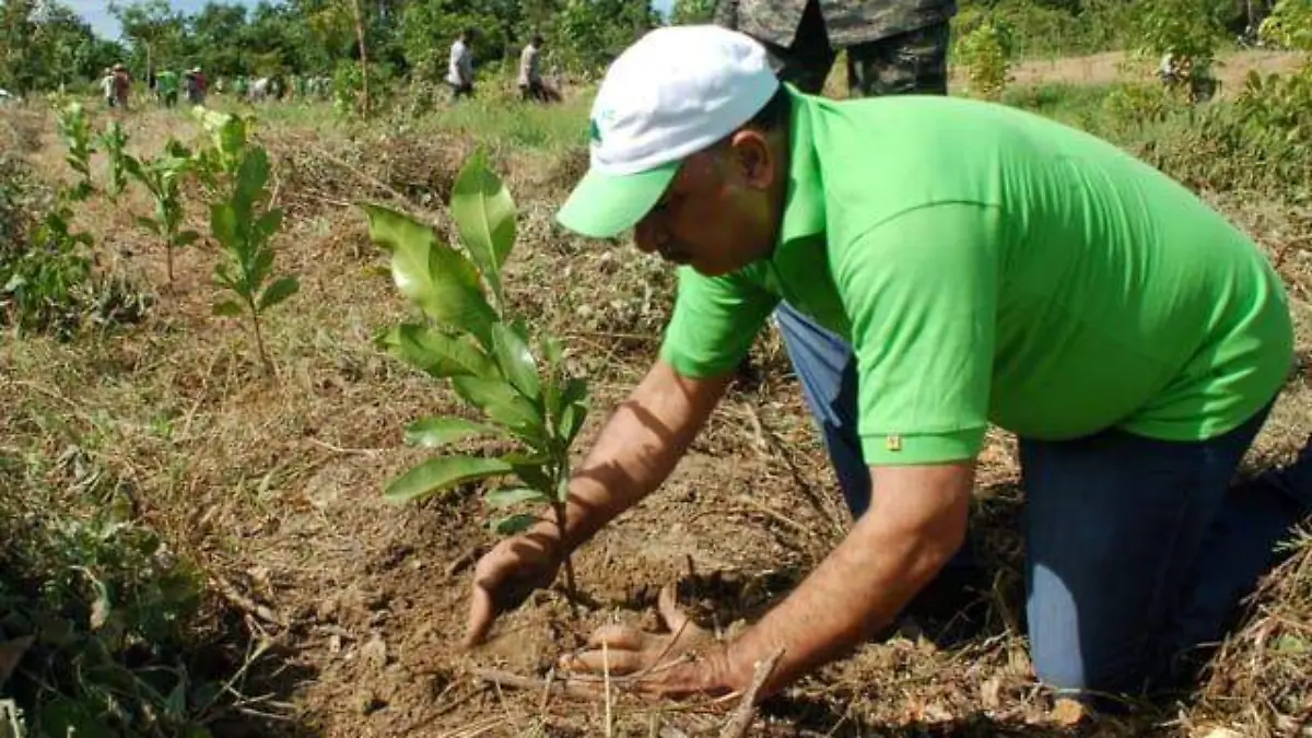 04 Nueve metros cuadrados deben ser forestados por cada habitante